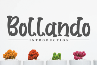 Enhance Your Brand with Bollando: A Classy Display Font